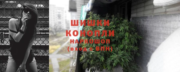 прущий лед Бородино