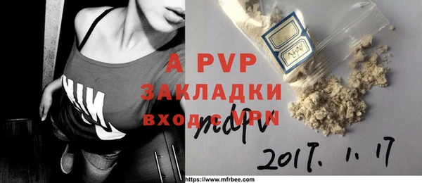 прущий лед Бородино