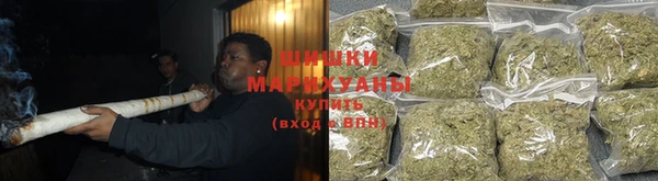 молекула духа Анжеро-Судженск