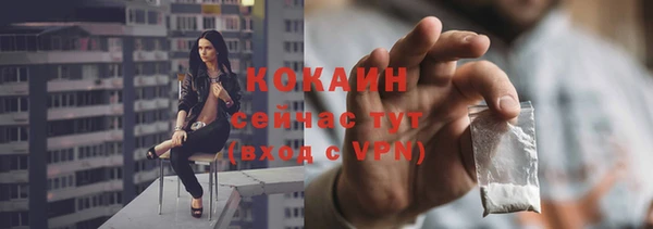 дурь Бронницы