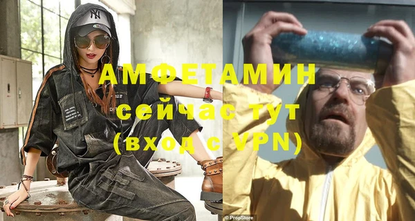 прущий лед Бородино