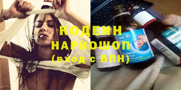 прущий лед Бородино