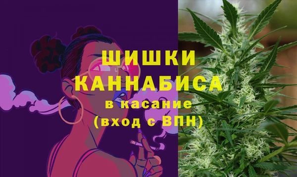 прущий лед Бородино