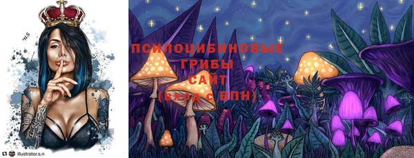 дурь Бронницы