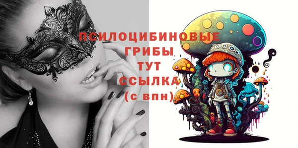 прущий лед Бородино