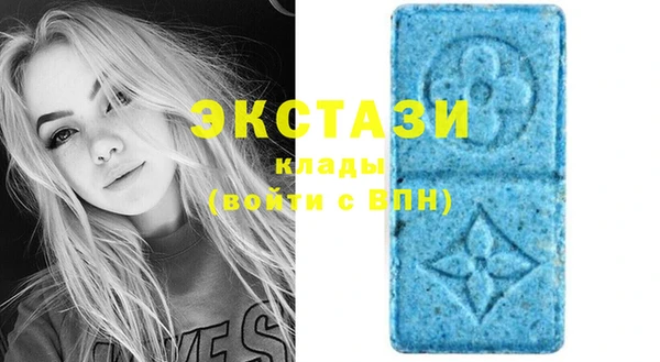 прущий лед Бородино
