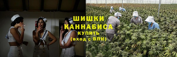 дурь Бронницы