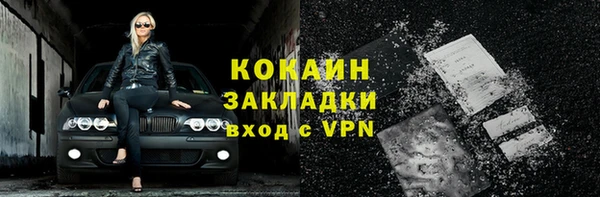 прущий лед Бородино