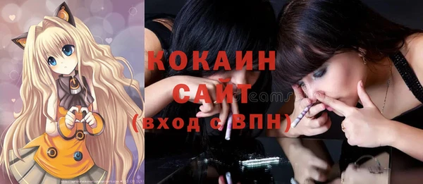 дурь Бронницы