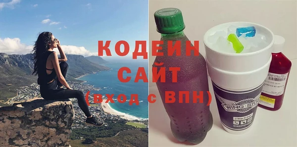 прущий лед Бородино
