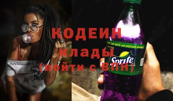 дурь Бронницы