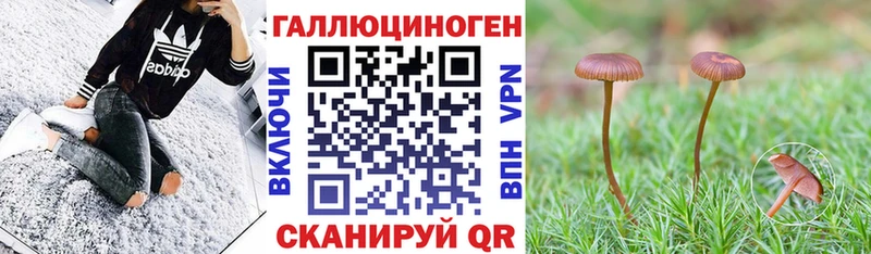 Псилоцибиновые грибы Magic Shrooms  наркотики  Всеволожск 